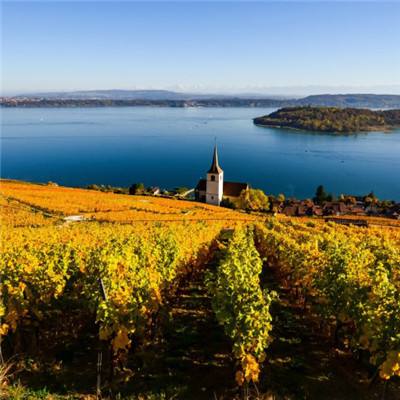 万博下载地址苹果版