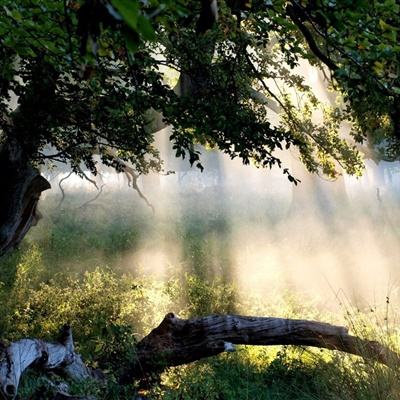 皇冠登陆入口welcome