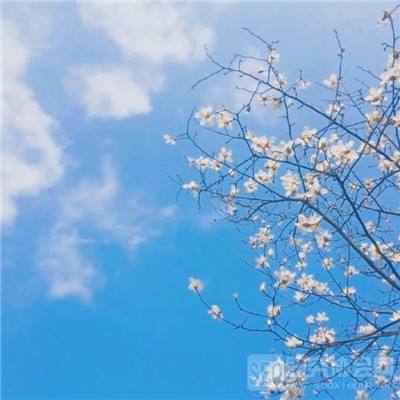 完美电竞平台手机app下载