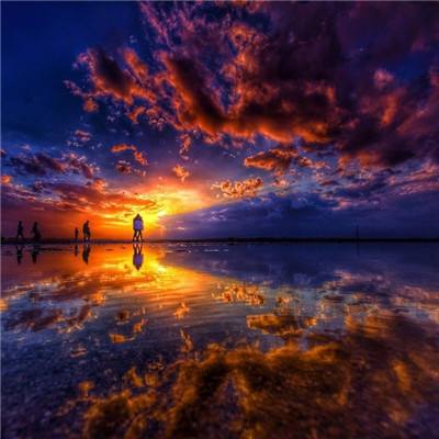 乐鱼娱乐appapp下载